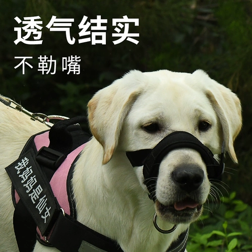 Корпус собаки анти -бедьерые и анти -планом плюс