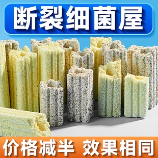 yee断裂细菌屋滤材鱼缸过滤材料培菌净水生化陶瓷环纳米石英球