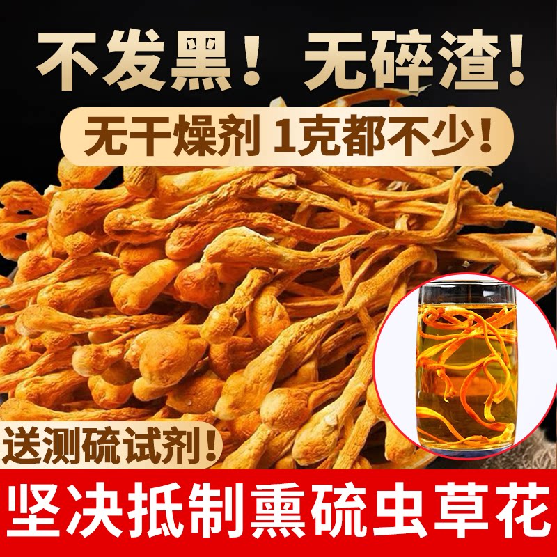 虫草花干货新鲜官方旗舰店正品孢子头煲汤正宗野外生蛹虫草非特级