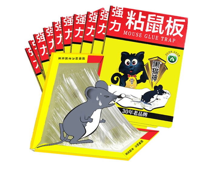 黑猫神粘鼠板老鼠贴驱鼠捕鼠器老鼠夹胶耗子药灭鼠神10片装高性价比高么？