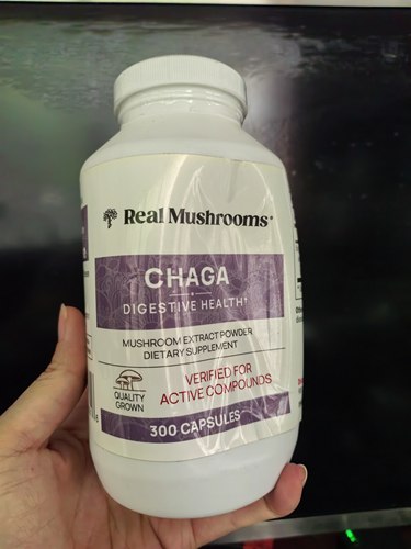 瓶凹美国Real Mushrooms Chaga白桦茸胶囊消化免疫皮肤健康300粒