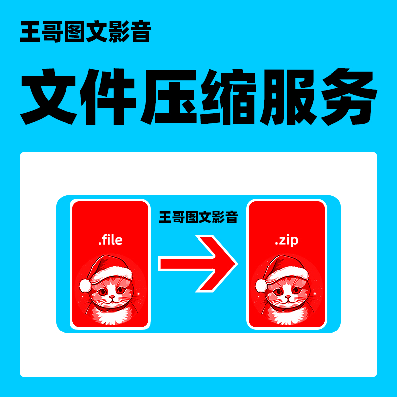 文件压缩服务 或解压 ZIP格式 或RAR 电子文件 电脑文件