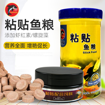 海豚贴片小型鱼宝莲灯不浑水饲料
