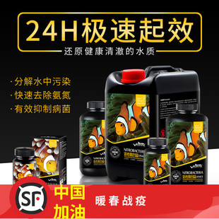 RUIFINE 瑞丰 硝化细菌 活性复合菌 干式复合菌 淡海水通用