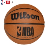 Wilson威尔胜篮球24新款 NBA防尘耐磨成人7号PU室内外通用训练防滑