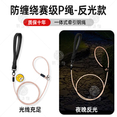 反光狗狗牵引绳防窒息p绳防咬断防爆冲细p链小型犬狗链大型犬狗绳
