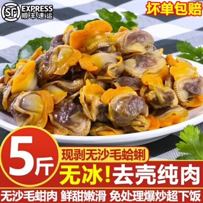 毛蛤蜊肉冷冻赤贝肉毛蚬子麻蛤