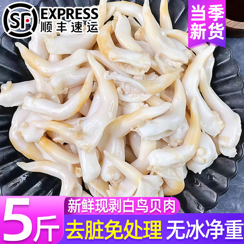 白鸟贝肉新鲜冷冻特大号去内脏无沙长岛黄鸟贝肉批发海鲜捞汁顺丰