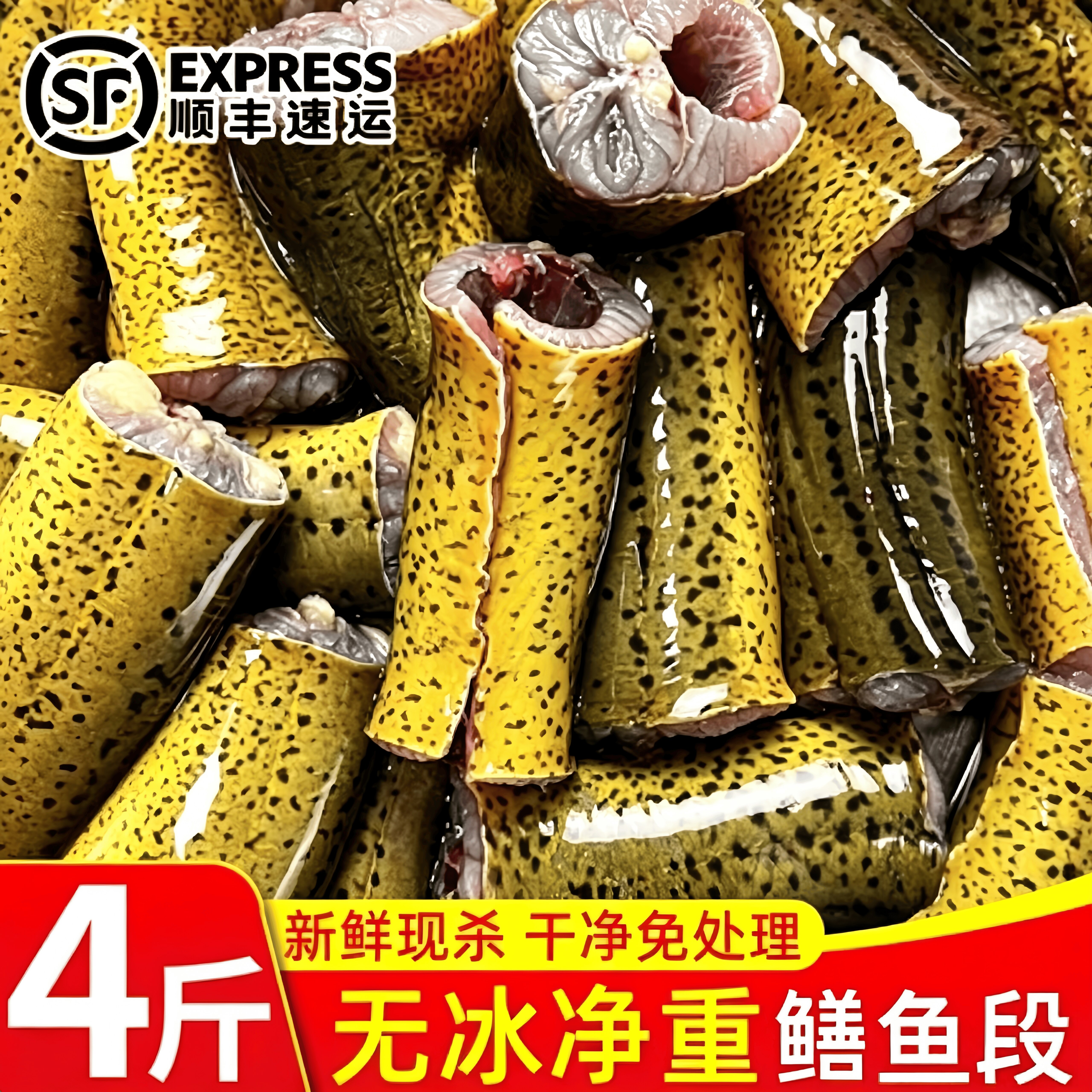 冷冻无冰现杀去头内脏黄鳝段