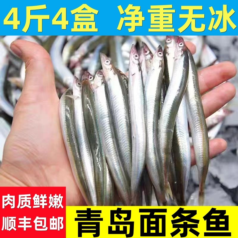 青岛特产面条鱼新鲜速冻小鱼