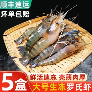 罗氏沼虾新鲜速冻大号罗氏沼虾淡水虾冰鲜冻虾新鲜大头虾商用海鲜
