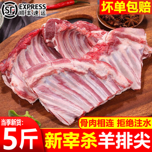 新鲜羊排尖内蒙古羊排尖带油小排肋排山羊排饭店用生羊肉整箱顺丰