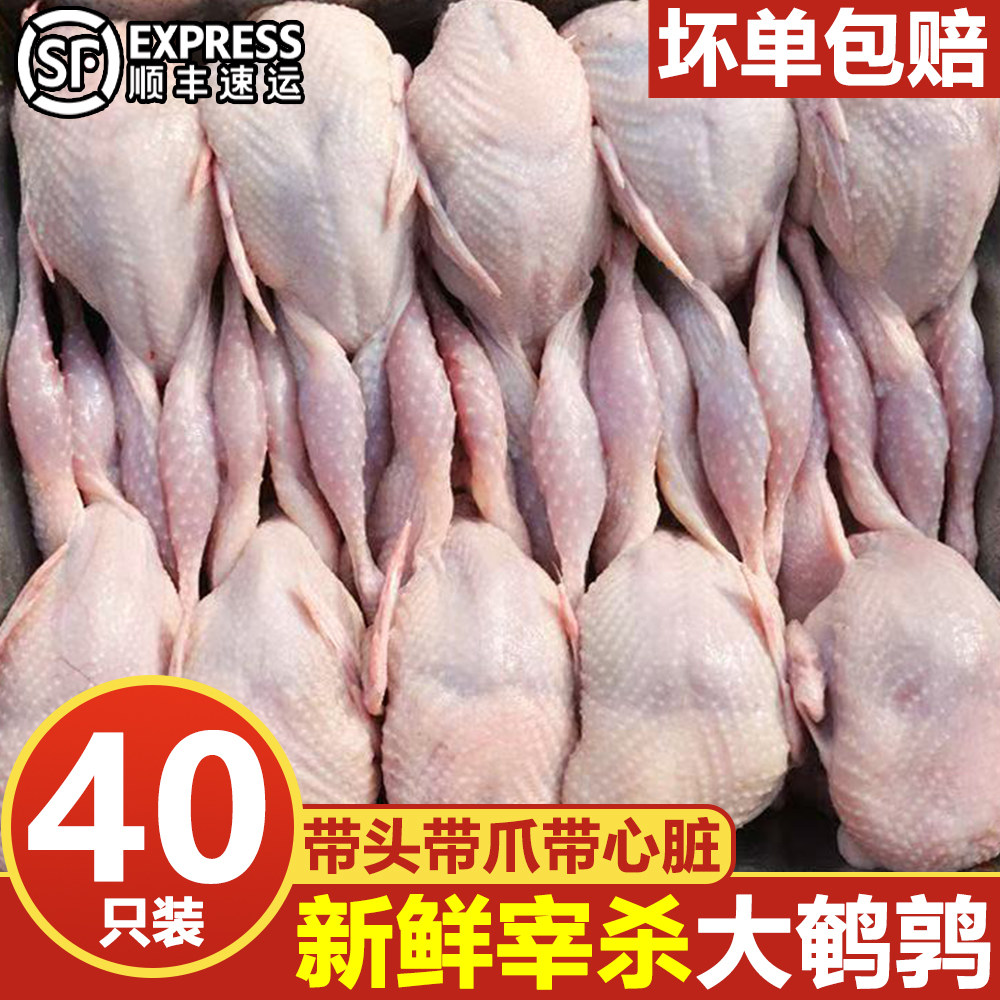现杀母鹌鹑便宜生鲜区内脏新鲜鹌鹑肉乳鸽鹌鹑新鲜冷冻鹌鹑整箱,水产肉类/新鲜蔬果/熟食,其它生肉制品,淘宝优惠券,粉丝福利购,淘宝优惠卷