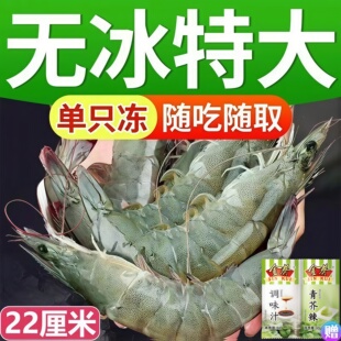 2030大虾鲜活超大新鲜冷冻海虾特大对虾青虾基围虾青岛海鲜水产
