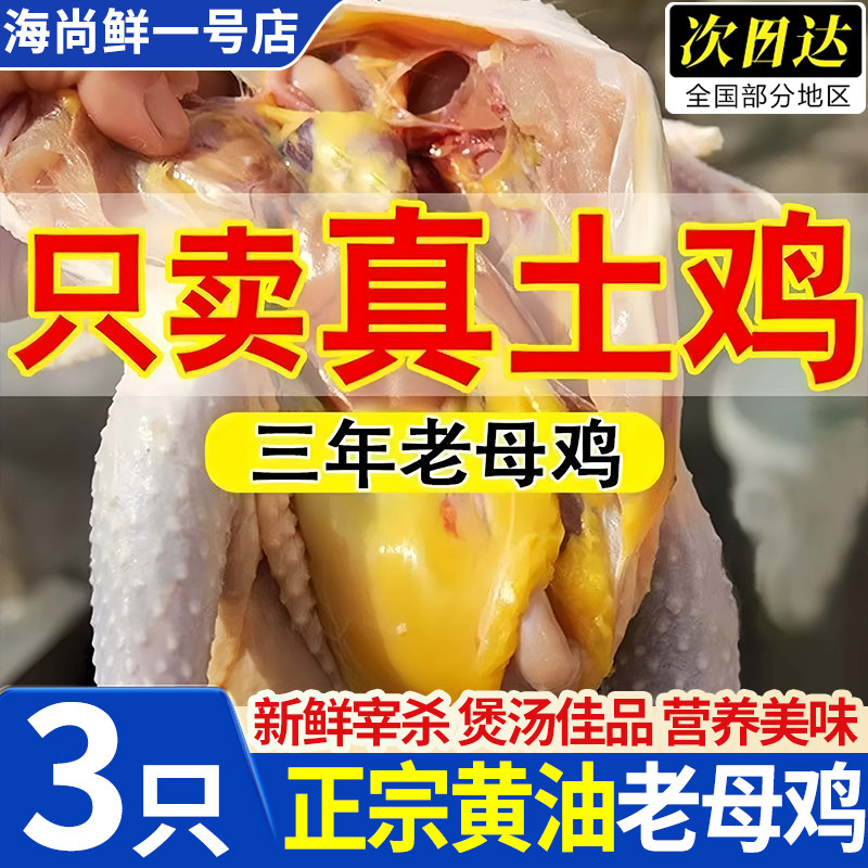 农家散养走地老母鸡3只冷冻现杀