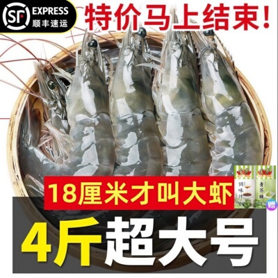 大虾鲜活冷冻海鲜富含营养物质