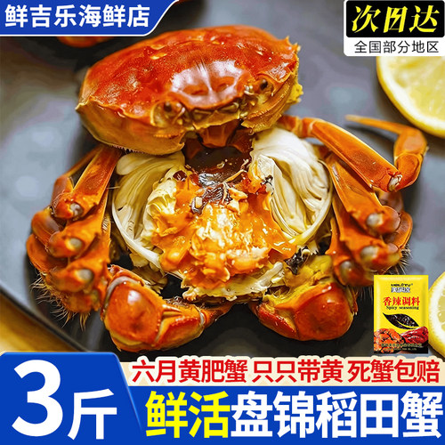 盘锦鲜活大闸蟹六月黄14只装