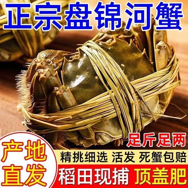 盘锦鲜活无绳净重大闸蟹礼盒