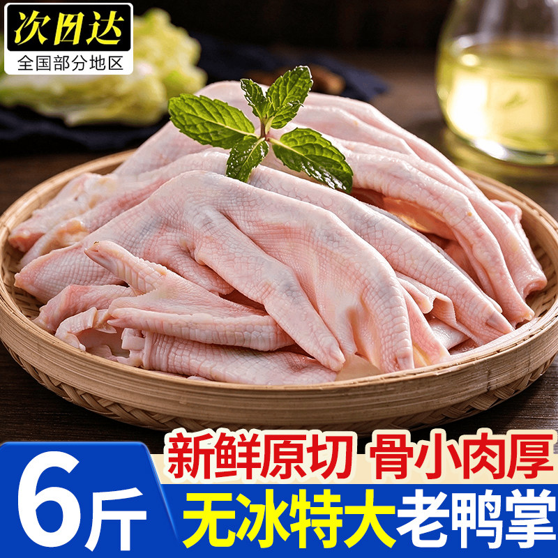 山东潍坊新鲜冷冻带骨鸭掌批发
