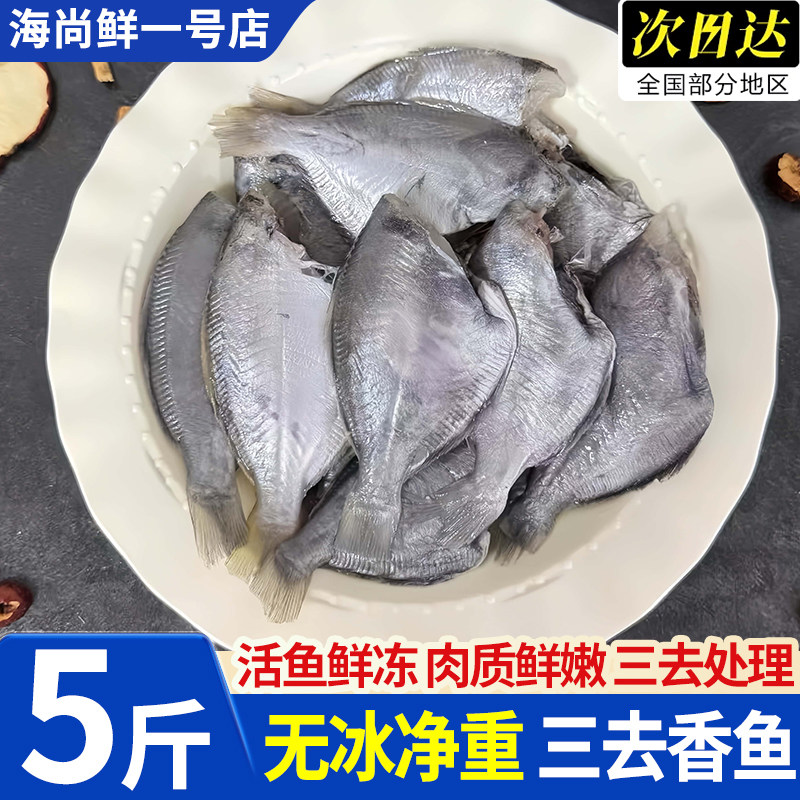 浙江台州海捕船冻三去香鱼5斤