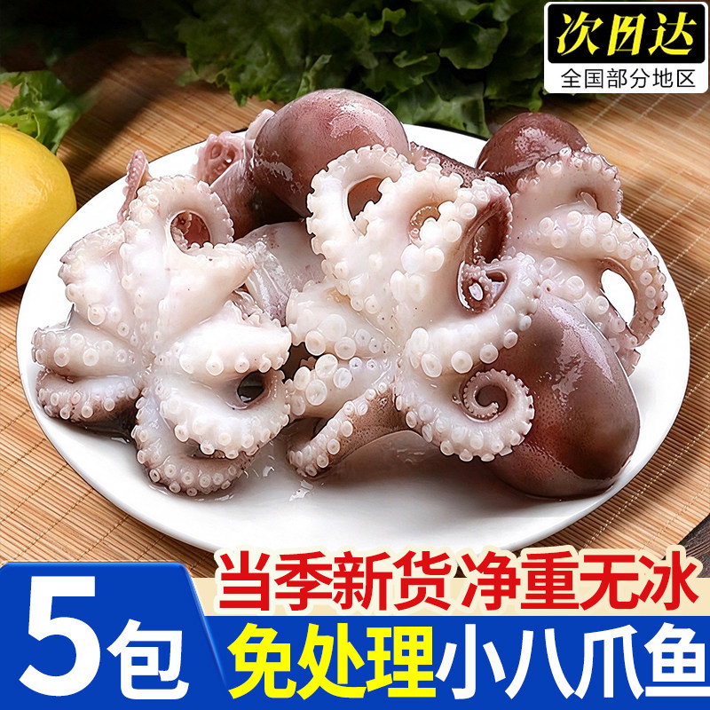 丹东鲜冻爆头迷你小八爪鱼