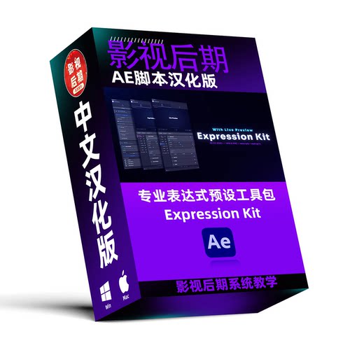 AE脚本汉化专业表达式预设工具包 Expression Kit 可视化参数调节