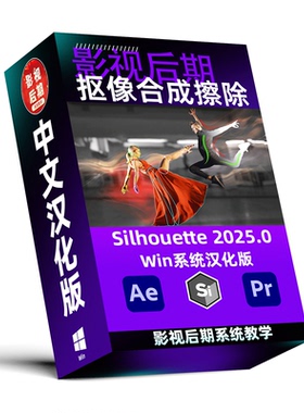 Win系统中文汉化Silhouette 2025.0 AI抠像跟踪擦除合成软件AE/PR