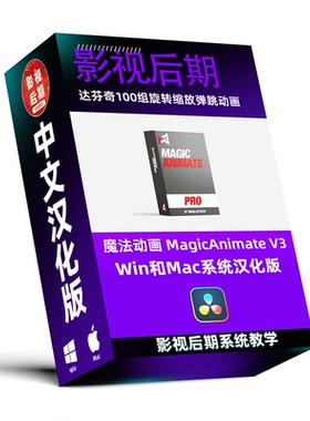达芬奇插件MagicAnimate V3汉化预设包 100组旋转缩放动画Win/Mac