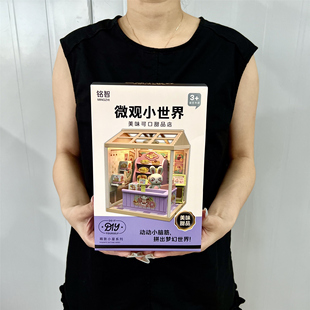 女孩趣味DIY拼装小屋别墅儿童手工拼搭立体房子幼儿园培训班礼盒