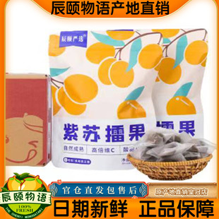 辰颐物语严选紫苏擂果2袋紫苏酸枣粒南酸枣粒饼浆果擂枣零食小吃