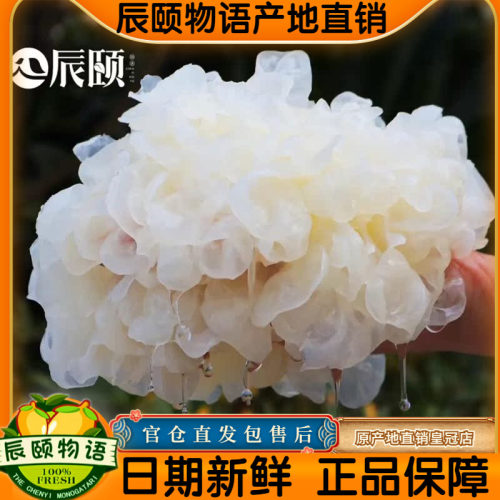 辰颐物语严选鲜活古田鲜耳银耳