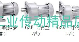 G3FB-28-30-T040A  G3F28N30-CN04TNCTB2 Nissei日精电机 GTR马达