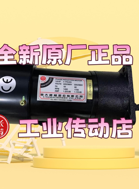 亿大刀库电机1/4HP FME18 1:20 AEV200   1:100 FME22排屑马达