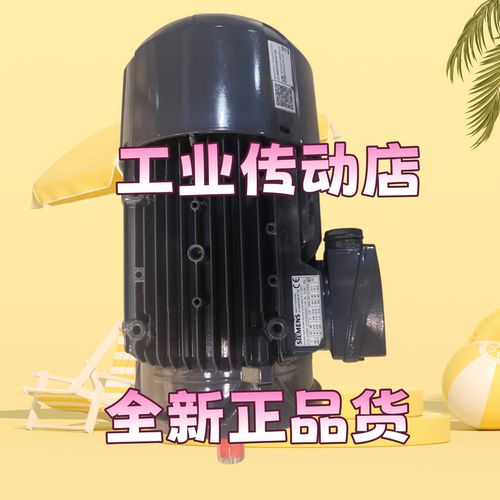 德国SKF多头泵电机ZM2104-2+1GD