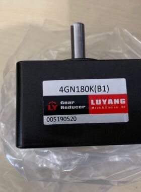 4GN100 (D1) 4IK25GN-CEP(CFR1) LY马达 LUYANG电机 41K25GN-CEP