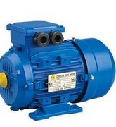 THREE PHASE电机 马达    MS90S-4  1.1KW  GS100L-6  1.5KW