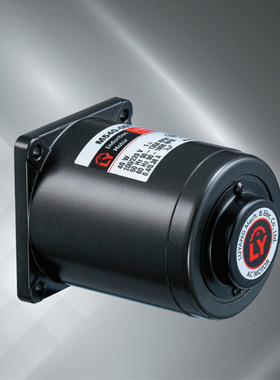 LY马达 LUSON电机4LYIK25A-C 51K150GU-CMF 5IK40GN-Y 5IK40RGN-C