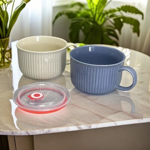 陶瓷单耳保鲜面碗北欧简约