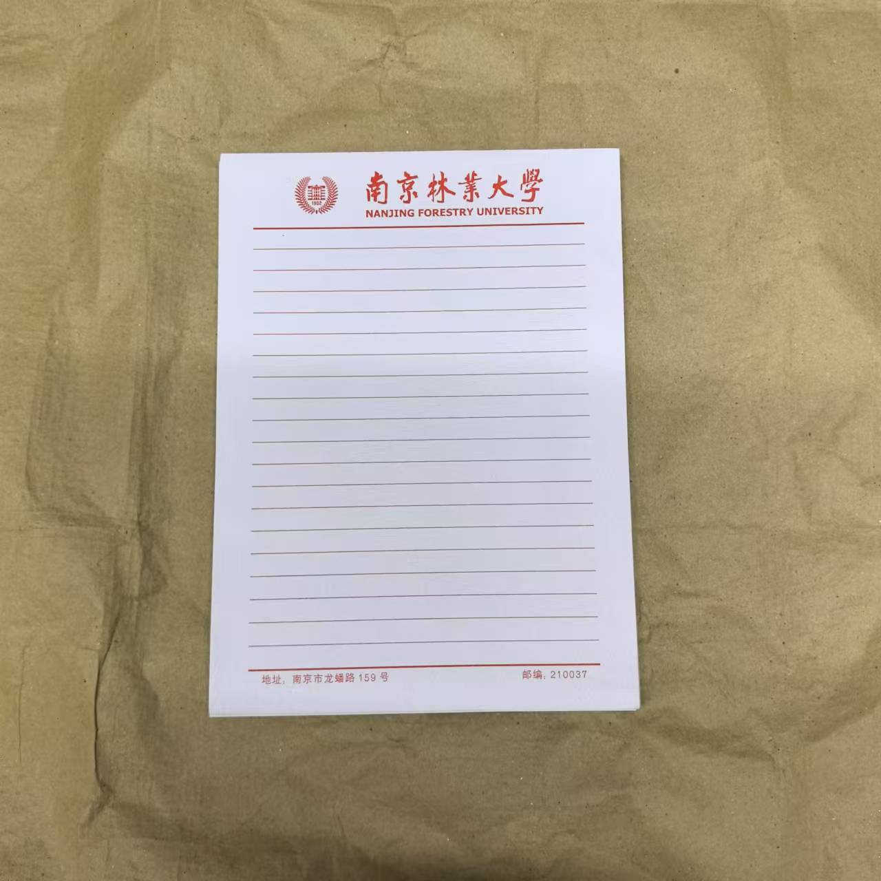 南京林业大学稿纸信纸作业纸