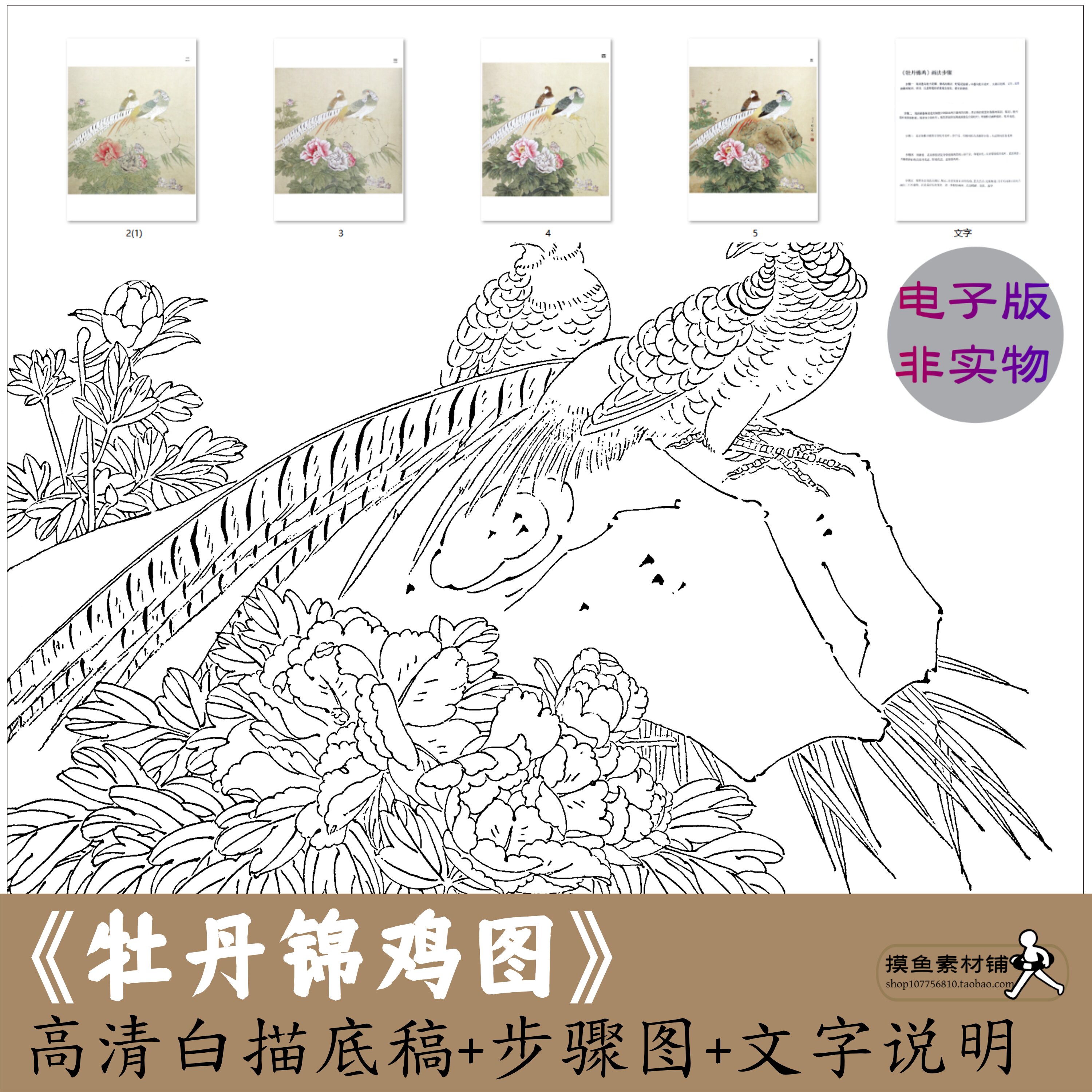 国画工笔画牡丹锦鸡图白描底稿电子版 初学者临摹学习步骤图x235
