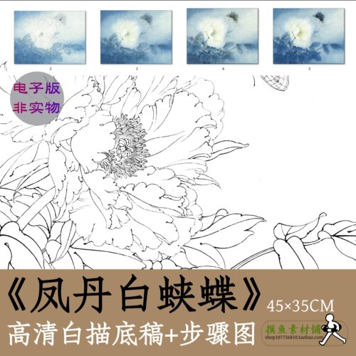 工笔画白描线稿电子版x020《凤丹白蛱蝶