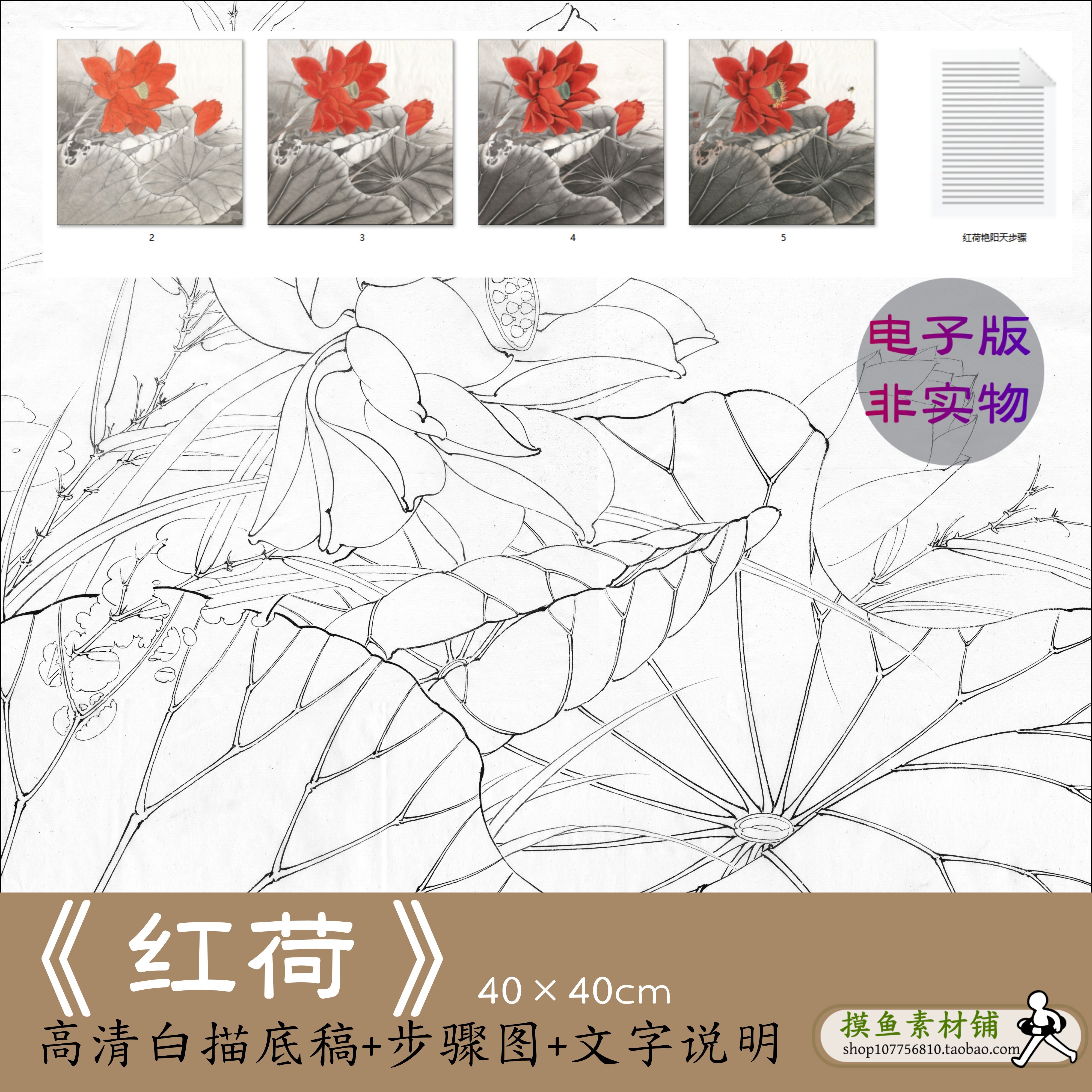 有步骤图文字说明工笔荷花白描底稿初学者临摹国画底稿电子版x204