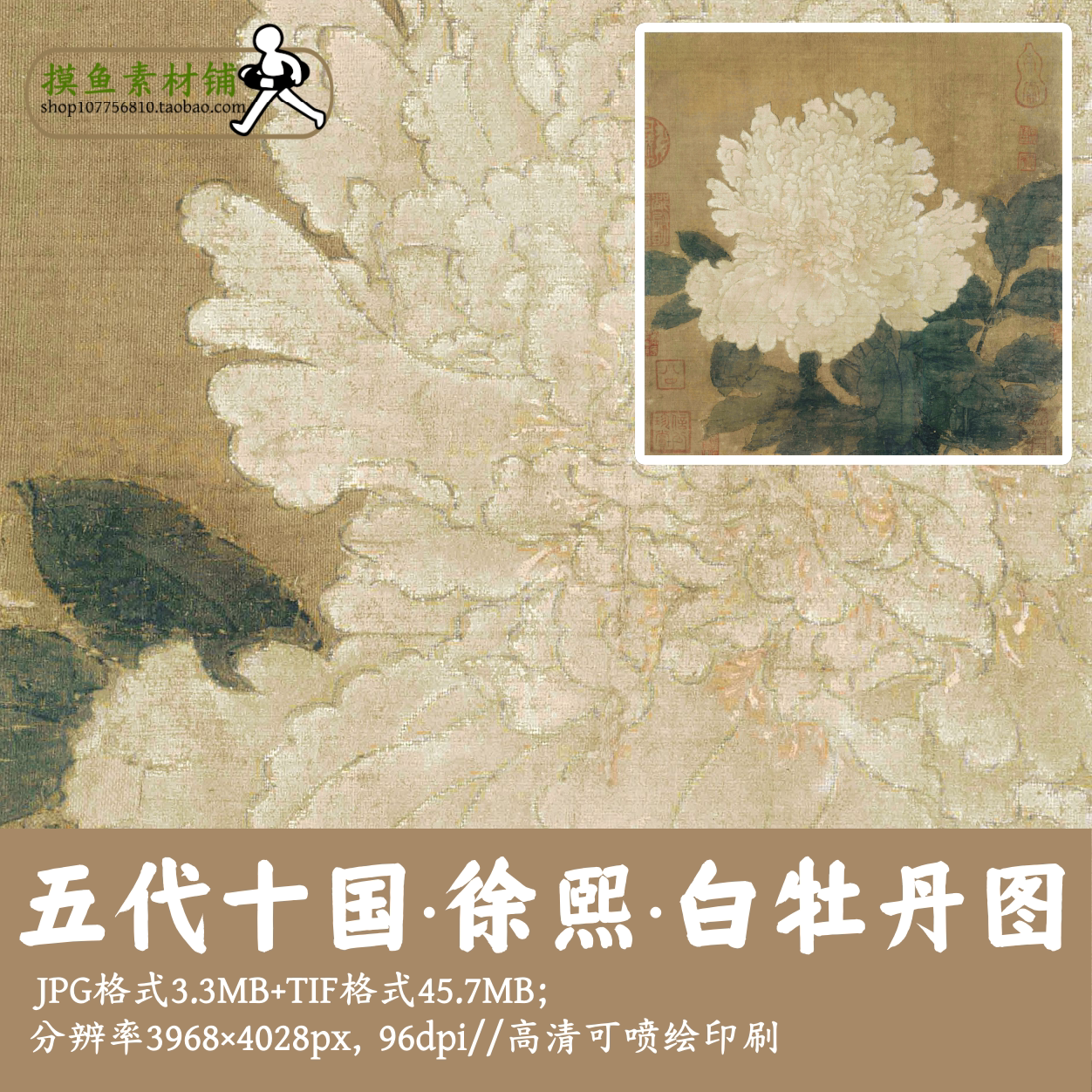 五代十国徐熙/白牡丹图/中国画工笔花鸟植物花卉宋画电子版g13510