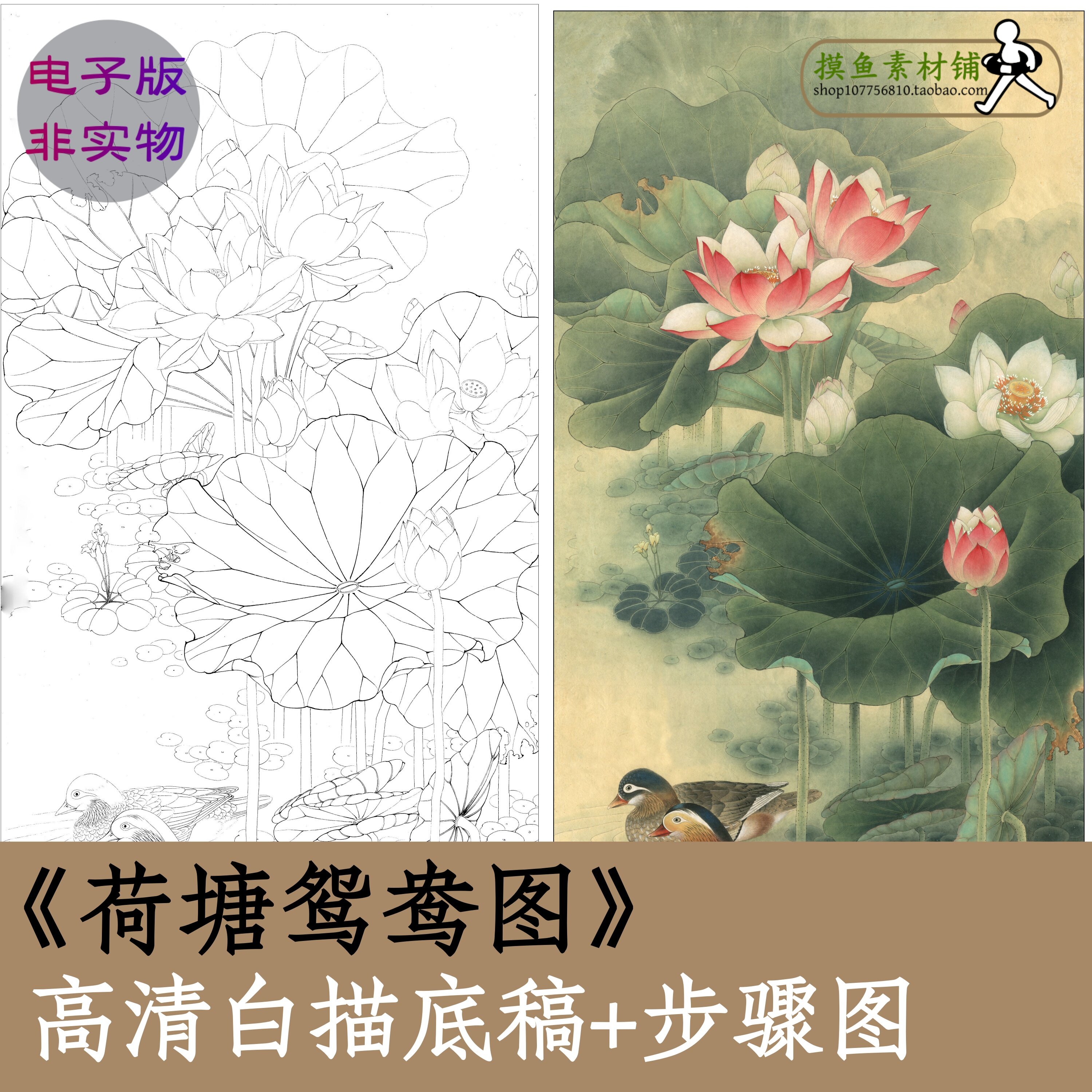 中国画荷花图莲花图白描底稿电子版带步骤图鲤鱼图x202荷塘鸳鸯图