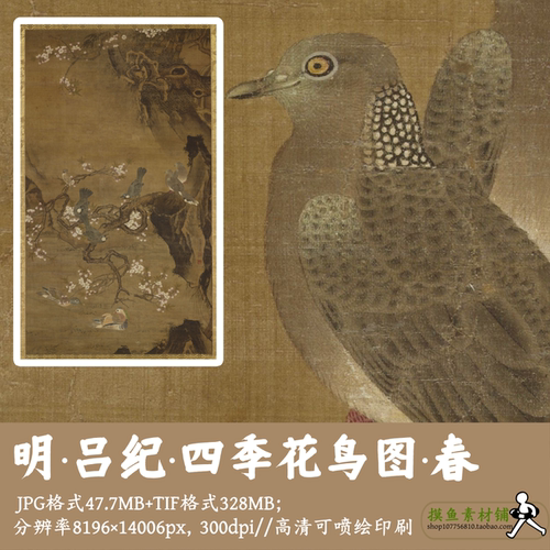 明吕纪/四季花鸟图·春/国画工笔花鸟大幅大图古画原图tif图G1702