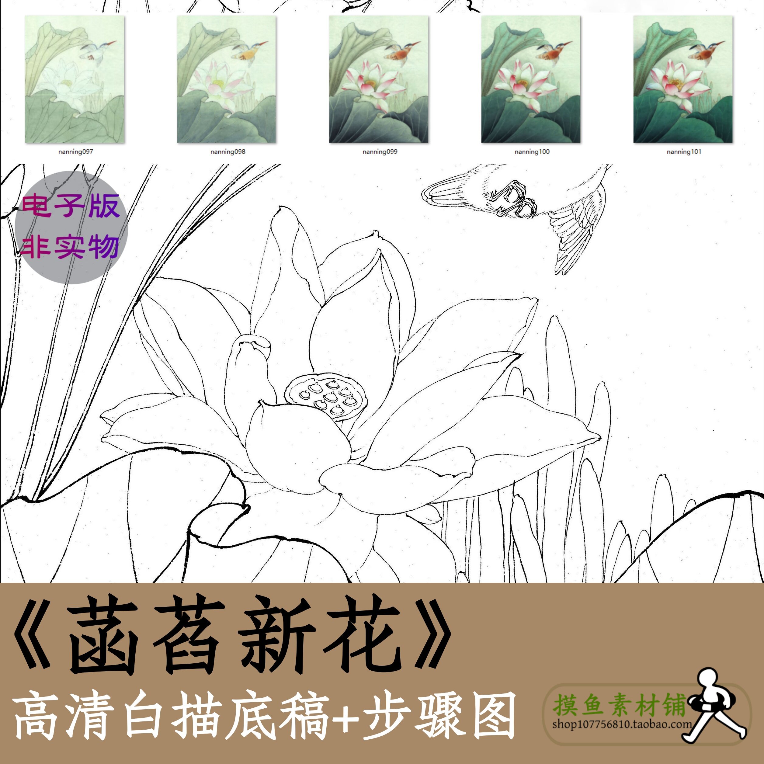 工笔画白描底稿电子版素材x030《菡萏新花