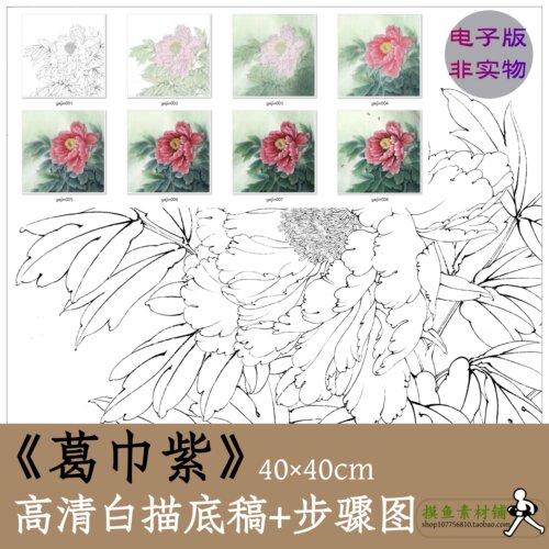 工笔画白描线稿电子版x025《葛巾紫