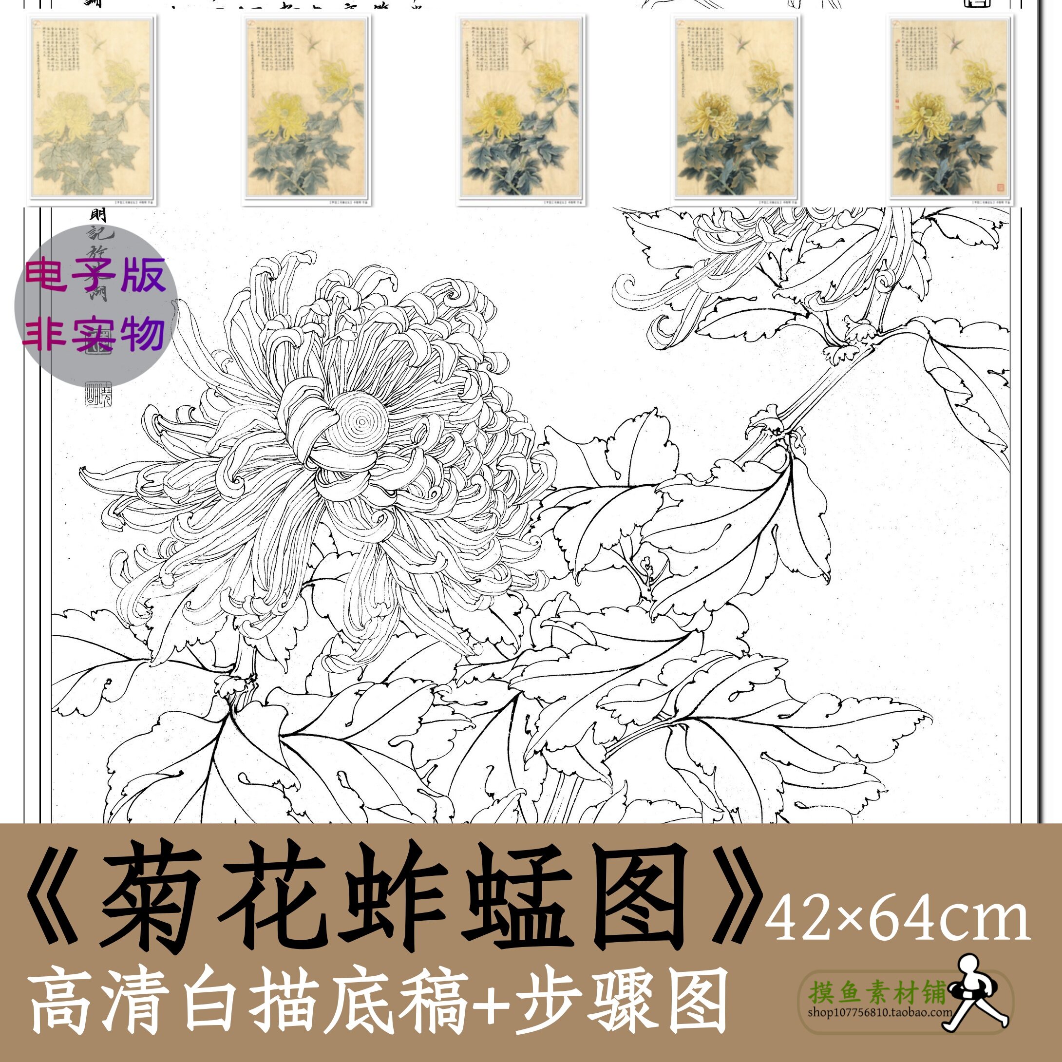 国画工笔花鸟画白描底稿电子版x046《菊花蚱蜢图