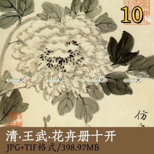 清·王武 花卉册10幅/传统艺术国画小写意花鸟写生册临摹素材Z107