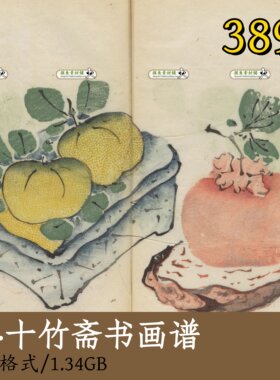 十竹斋书画谱/清代国画课徒稿教程临摹学习资料芥子园画谱图z111